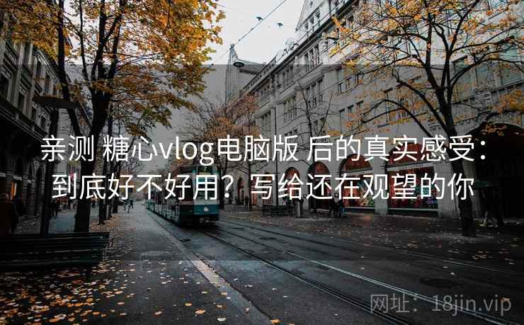 亲测 糖心vlog电脑版 后的真实感受：到底好不好用？写给还在观望的你