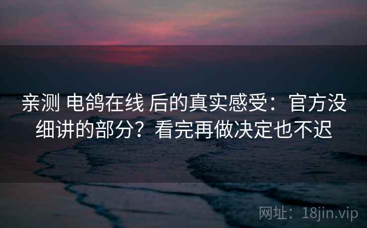亲测 电鸽在线 后的真实感受：官方没细讲的部分？看完再做决定也不迟
