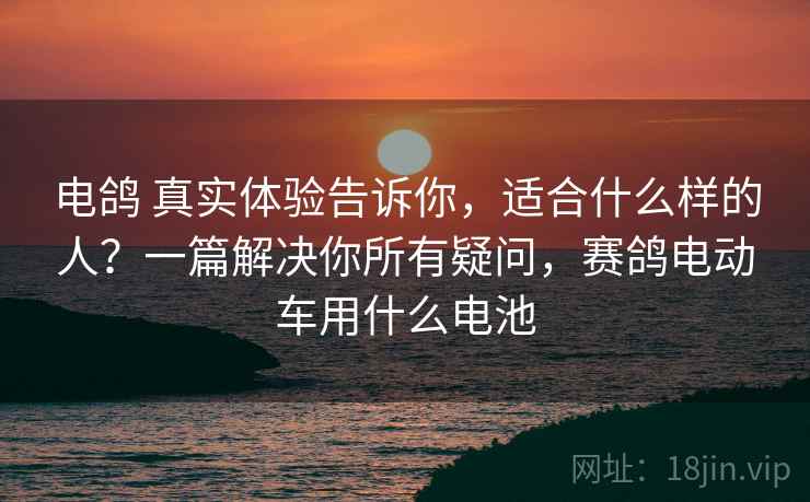 电鸽 真实体验告诉你,适合什么样的人?一篇解决你所有疑问,赛鸽电动车用什么电池 电鸽 真实体验告诉你,适合什么样的人?一篇解决你所有疑问,赛鸽电动车用什么电池