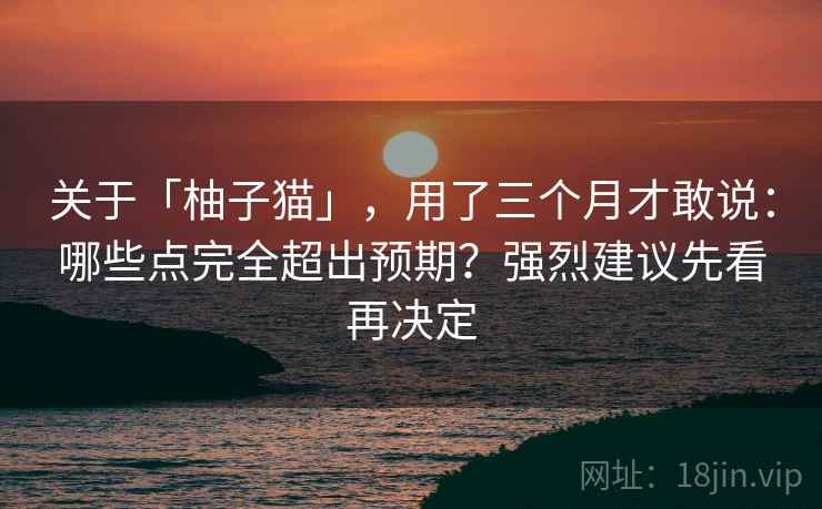 关于「柚子猫」,用了三个月才敢说:哪些点完全超出预期?强烈建议先看再决定 关于「柚子猫」,用了三个月才敢说:哪些点完全超出预期?强烈建议先看再决定
