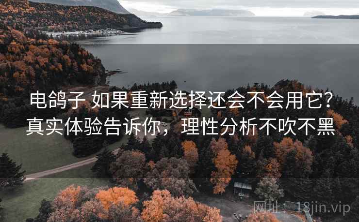 电鸽子 如果重新选择还会不会用它?真实体验告诉你,理性分析不吹不黑 电鸽子 如果重新选择还会不会用它?真实体验告诉你,理性分析不吹不黑