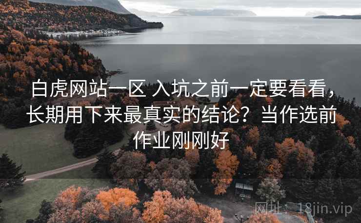 白虎网站一区 入坑之前一定要看看，长期用下来最真实的结论？当作选前作业刚刚好